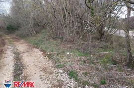 ISTRA, PERUŠKI, POLJOPRIVREDNO ZEMLJIŠTE 3,5 KM OD MORA, Marčana, Terrain