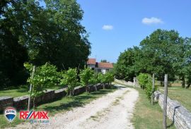 ISTRA, KANFANAR, OBITELJSKA KUĆA SA LIJEPOM OKUĆNICOM, Kanfanar, Maison