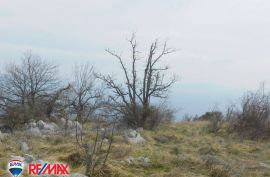 ISTRA, MALI KOSI KAMENA KUĆA SA POMOĆNIM OBJEKTIMA, Labin, Haus