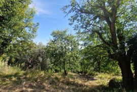 ISTRA, OPRTALJ - Kamena starina s panoramskim pogledom na zelenilo, Oprtalj, Famiglia