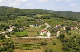 Zemljište s pogledom na Motovun, Karojba, Land