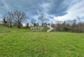 Kukuljanovo, zemljište u industrijskoj zoni, Bakar, Land