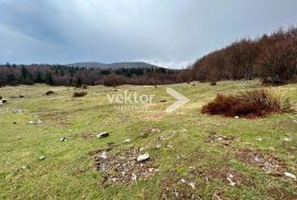 Platak, poljoprivredno zemljište 6.350m2, Čavle, Land