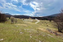 Platak, poljoprivredno zemljište 6.350m2, Čavle, Land