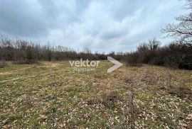 Barban, okolica, zemljište 970m2, Barban, Land