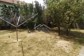 Surčin - Ledine - 263m2(500)+16a ID#21224, Surčin, Famiglia