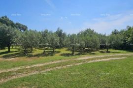 Građevinsko zemljište Prodaje se građevinsko zemljište 1000 m2, Krnica, Marčana, Земля