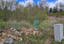 Gorski kotar, Fužine, Zemljište 1240 m2 za gradnju kuće za odmor, prodaja, Fužine, Haus