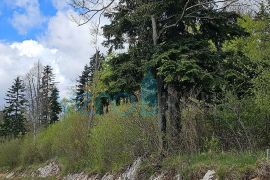 Gorski kotar, Fužine, Zemljište 1240 m2 za gradnju kuće za odmor, prodaja, Fužine, Haus