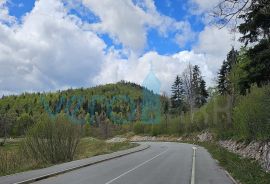 Gorski kotar, Fužine, Zemljište 1240 m2 za gradnju kuće za odmor, prodaja, Fužine, Haus