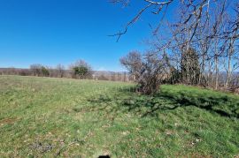 ISTRA, BARBAN - Građevinsko zemljište na savršenoj lokaciji s pogledom na Učku, Barban, Terrain