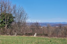 ISTRA, BARBAN - Građevinsko zemljište na savršenoj lokaciji s pogledom na Učku, Barban, Terrain