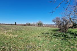 ISTRA, BARBAN - Građevinsko zemljište na savršenoj lokaciji s pogledom na Učku, Barban, أرض