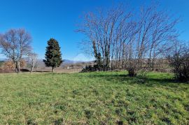 ISTRA, BARBAN - Građevinsko zemljište na savršenoj lokaciji s pogledom na Učku, Barban, Terrain