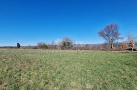 ISTRA, BARBAN - Građevinsko zemljište na savršenoj lokaciji s pogledom na Učku, Barban, Terrain