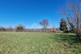 ISTRA, BARBAN - Građevinsko zemljište na savršenoj lokaciji s pogledom na Učku, Barban, Terrain