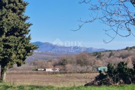 ISTRA, BARBAN - Građevinsko zemljište na mirnoj lokaciji, rub građevinske zone, pogled, Barban, Земля