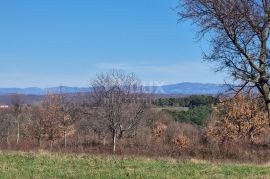 ISTRA, BARBAN - Građevinsko zemljište otvorenog pogleda, rub naselja, Barban, Terrain