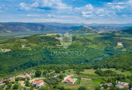 Motovun, okolica! Zemljište u T2 zoni sa prekrasnim pogledom!, Motovun, Terreno