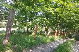 Šuma 11,4 duluma i dvije livade 24,65 duluma, Kladanj, Terreno