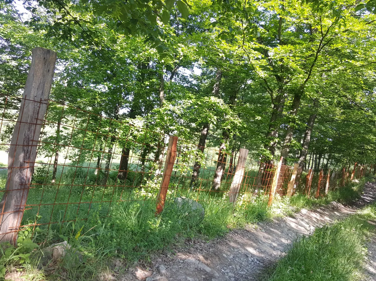 Šuma 11,4 duluma i dvije livade 24,65 duluma, Kladanj, Земля