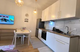 قائمة بيانات_حقول+افتراضي+عنوان, Novigrad, شقة