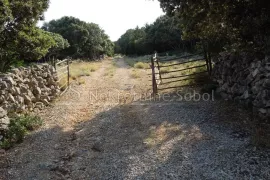 Punta Križa, Otok Cres - Zemljište, 76133 m2, Mali Lošinj, Γη