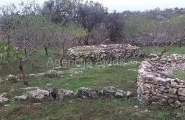 Brač Donji Humac 10630 m2 sa objektom, Nerežišća, Terrain