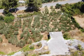 Brač Stražišće 1900 m2 poljoprivredno zemljište Splitska, Supetar, Terrain