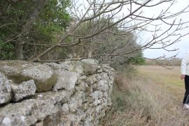 Mandriol-Prostrano zemljište, Vodnjan, Land