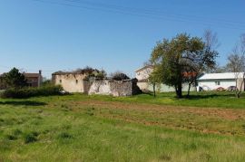 Žminj, okolica, istarska kamena kuća za renovaciju, Žminj, Casa