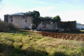 Žminj, okolica, istarska kamena kuća za renovaciju, Žminj, Casa