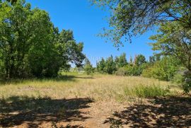 Poljoprivredno zemljište Vodnjan, Vodnjan, Land