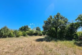 Poljoprivredno zemljište Vodnjan, Vodnjan, Land