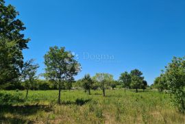 Poljoprivredno zemljište Vodnjan, Vodnjan, Land