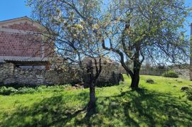 ISTRA, BRTONIGLA - Tradicionalna istarska kuća, Brtonigla, House