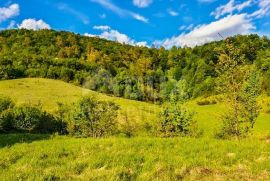 GORSKI KOTAR, VRBOVSKO-Imanje površine 29000m2 okruženo šumom, Vrbovsko, Ev