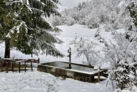 GORSKI KOTAR, VRBOVSKO-Imanje površine 29000m2 okruženo šumom, Vrbovsko, Ev