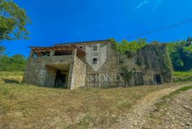 Motovun okolica, kuća za adaptaciju okružena prirodom, Motovun, Haus