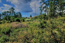 ISTRA, ŽMINJ - Prostrano građevinsko zemljište u mirnom naselju, Žminj, Land