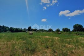 ISTRA, KANFANAR - Prostrano zemljište od 1ha uz urbaniziranu zonu sa otvorenim pogledom, Kanfanar, Terrain