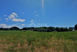 ISTRA, KANFANAR - Prostrano zemljište od 1ha uz urbaniziranu zonu sa otvorenim pogledom, Kanfanar, Terrain