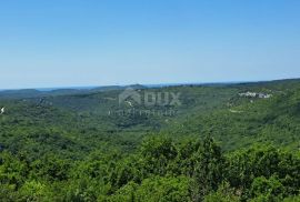 ISTRA, KANFANAR - Prostrano zemljište od 1ha uz urbaniziranu zonu sa otvorenim pogledom, Kanfanar, Terrain