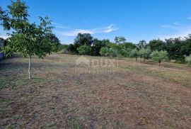 ISTRA, MARČANA- Građevinsko zemljište na lijepoj lokaciji!, Marčana, Land