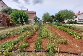 ISTRA, BRTONIGLA - Kamena kuća s velikom okućnicom, Brtonigla, Casa