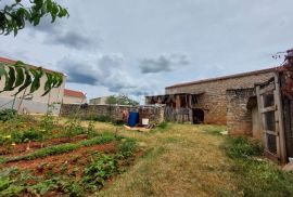 ISTRA, BRTONIGLA - Kamena kuća s velikom okućnicom, Brtonigla, Casa