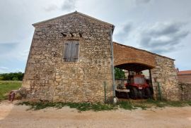 ISTRA, BRTONIGLA - Kamena kuća s velikom okućnicom, Brtonigla, Casa