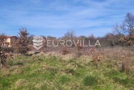 Poreč, Nova Vas,  veliko poljoprivredno zemljište 8640 m2, Poreč, Land