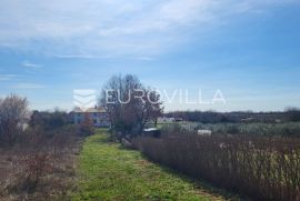 Poreč, Nova Vas,  veliko poljoprivredno zemljište 8640 m2, Poreč, Land