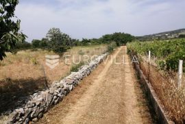 Brač, poljoprivredno zemljište u unutrašnjosti otoka (12 860 m2), Nerežišća, Terrain